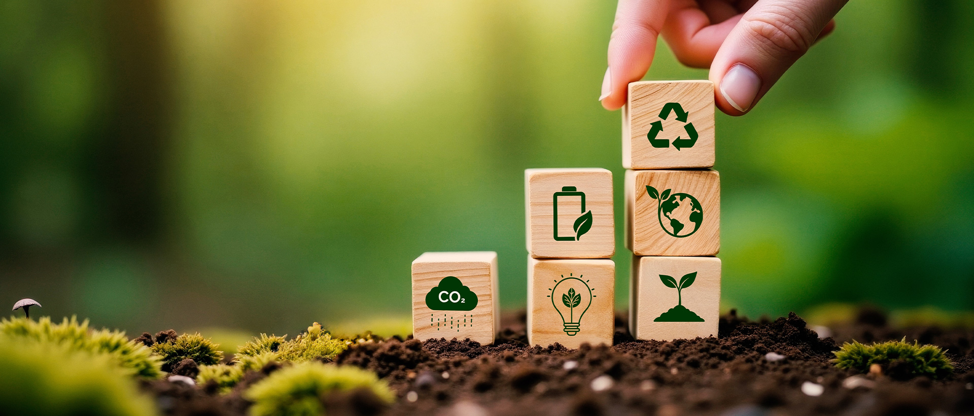 Blocks with sustainability icons on the forest floor